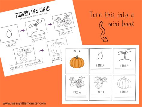 Printable Pumpkin Life Cycle Worksheets - Messy Little Monster