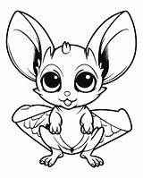 Sugar Glider Coloring Page 22560559 Vector Art At Vecteezy sketch template