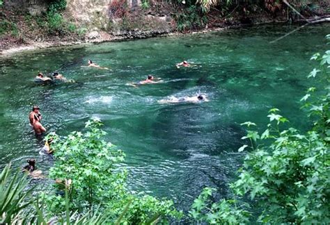 Blue Springs State Park (camping) | Places To Go and Things To Do ...