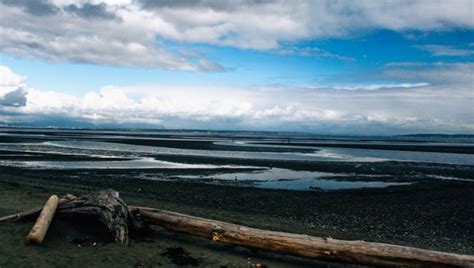 Boundary Bay Regional Park, Tsawwassen | Vancouver Trails