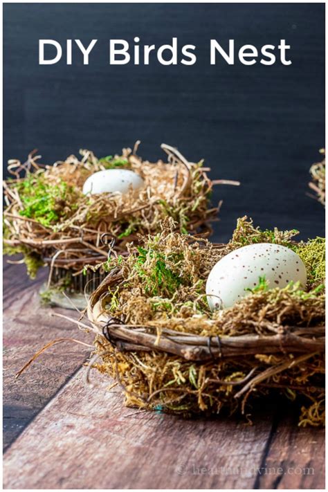 Bird Nest Craft for Your Spring Decor | Hearth and Vine