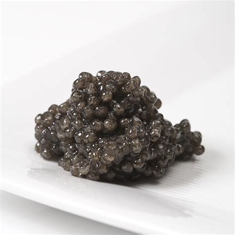 Buy the best Beluga Caviar online