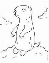 Easy How To Draw A Prairie Dog Tutorial And Coloring Page sketch template