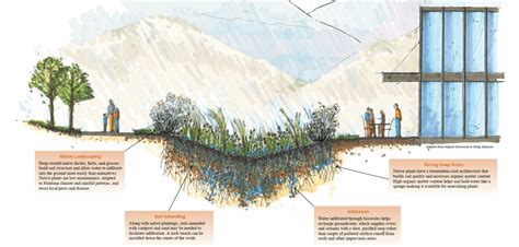 Bioswale – Design, Applications and Advantages – theconstructor.org