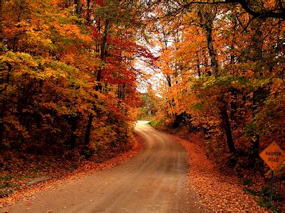 Country Road Autumn wallpaper, Conservatives and The Hysterical Style ...