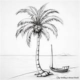 Palm Tree Coloring Pages  Free & Printable sketch template