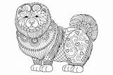 Zentangle Dog Coloring Page  Free Printable Pages sketch template