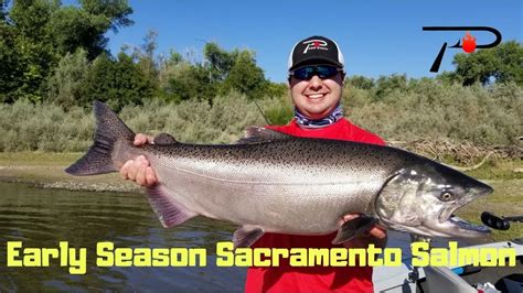 Early Season Sacramento River Salmon Fishing - YouTube