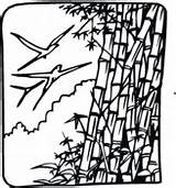 Bamboo Coloring Page  Free Printable Coloring Pages sketch template