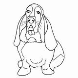 Printable Basset Hound sketch template