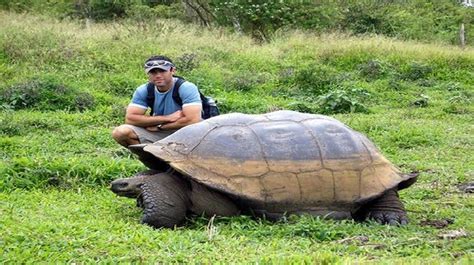 GALAPAGOS ADVENTURE TOURS - Omega Getaways