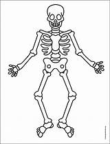 Easy How To Draw A Skeleton Tutorial And Coloring Page sketch template