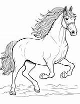 Real Life Horse Coloring Pages sketch template