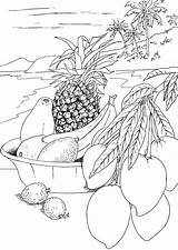 Tropical Fruit Coloring Page sketch template