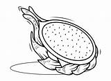 30  Dragon Fruit Coloring Pages Free Printable PDF JPG PNG & Online sketch template