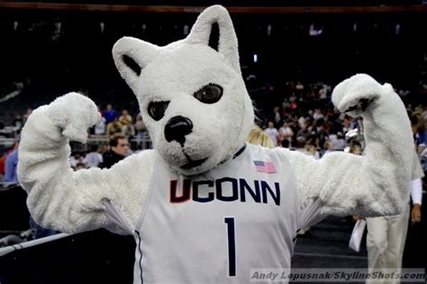 Basketball Live Mascot, Uconn Huskies, University Of Connecticut, Trumbull, Character Costumes ...