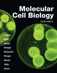 Molecular Cell Biology 9th edition | 9781319365486, 9781319383602 | VitalSource