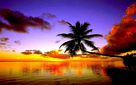Tropical Beach Screensavers and Wallpaper (67+ images)