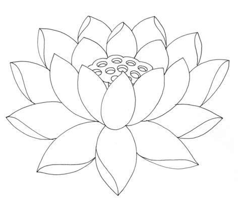 Lotus Flower Coloring Pages - Coloring Home