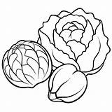 Brussels sprouts Cabbage Zucchini Vegetables Outline coloring Book Page  sketch template