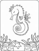 Princess Seahorse In Ocean Coloring Page Seaweed Starfish sketch template
