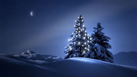 Snowy christmas tree, Christmas desktop, Beautiful christmas trees