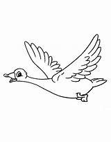 Print Flying Goose Coloring Page sketch template