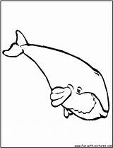 Free Whale Coloring Pages Blue Wine And Grape sketch template