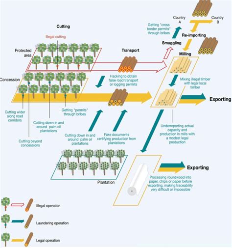 The 30 methods different of illegal wood logging | Download Scientific ...