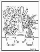 Plants Coloring Pages Plant Free PDF Printables sketch template