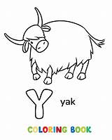 Yak Animals ABC Coloring Book For Kids Stock Vector  Illustration Of sketch template