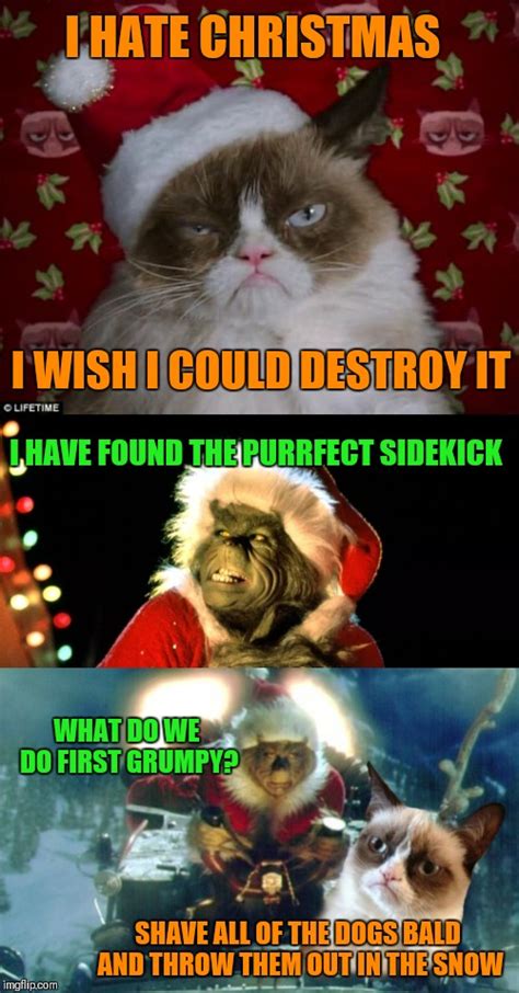 20+ Funny Christmas Grinch Grumpy Cat Memes - Factory Memes