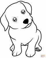 Cute Puppy coloring Page  Free Printable Coloring Pages sketch template