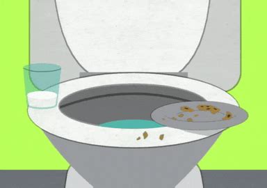 Dirty Toilet GIFs - Find & Share on GIPHY