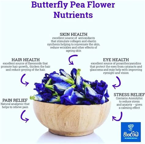 Blue Butterfly Pea Nutrition's and Benefits to the Body | Butterfly pea ...