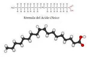 Buy Oleic Acid: Properties and origin| Cailà & Parés