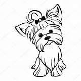 Teacup Yorkie Coloring Pages  Jambestlune sketch template