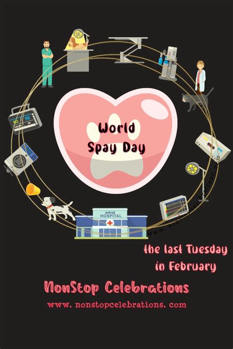 Celebrate World Spay Day the Last Tues in February | NonStop Celebrations