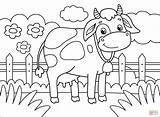 Printable Cow Coloring Pages sketch template