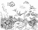 Saltwater Fish Coloring Pages At GetColoringscom  Free Printable sketch template