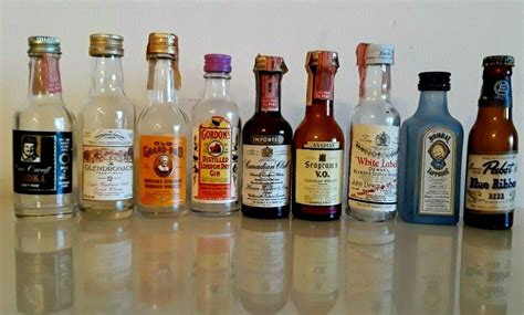Lot of Nine EMPTY VTG 1960s Miniature Glass Liquor Bottles Whisky / Vodka / Beer | eBay