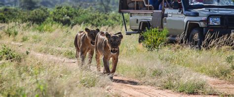 Kenya National Parks – List Of National Parks In KenyaGazelle Safaris ...