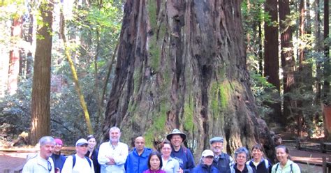 Santa Cruz Mountains Trails: Henry Cowell State Park Redwood Ramble