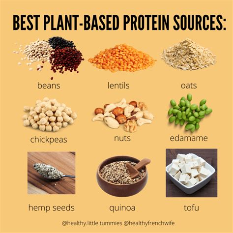 Nutritionist Reveals The Best Plant-Based Protein Sources