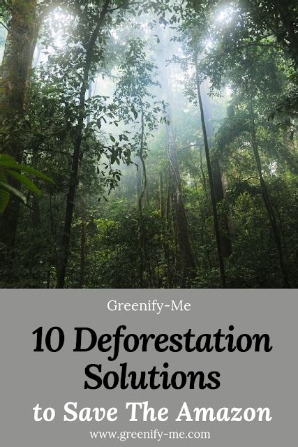 10 Deforestation Solutions to Save The Amazon - It's time we seriously sat down and talked ...