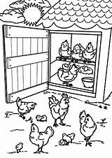 Chicken Coloring Pages  Learny Kids sketch template