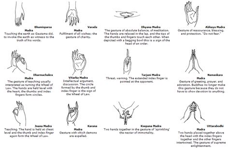 Rubin-Mudras.png (832×542) | fitness | Pinterest | Yoga