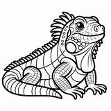 Cute Iguana Coloring Page  4 Free Printable Pages sketch template