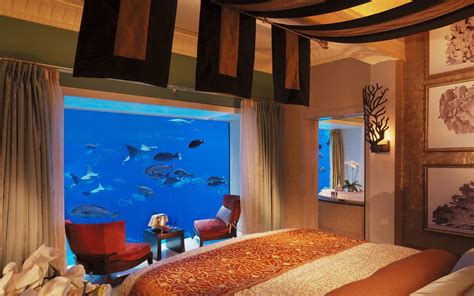 This is what a luxurious, underwater hotel suite looks like | Fortune