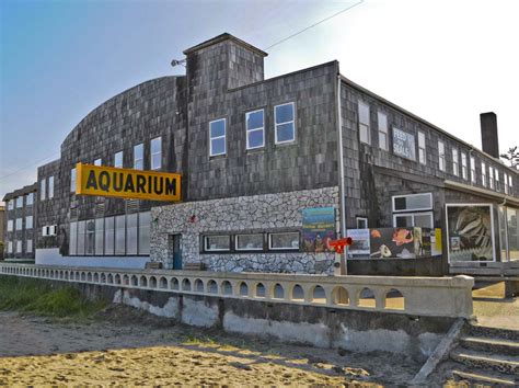 Seaside Aquarium - Seaside, Oregon | American road trip, Seaside oregon, Oregon travel